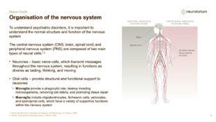 Mental Health – Fundamentals of Neurobiology – slide 3
